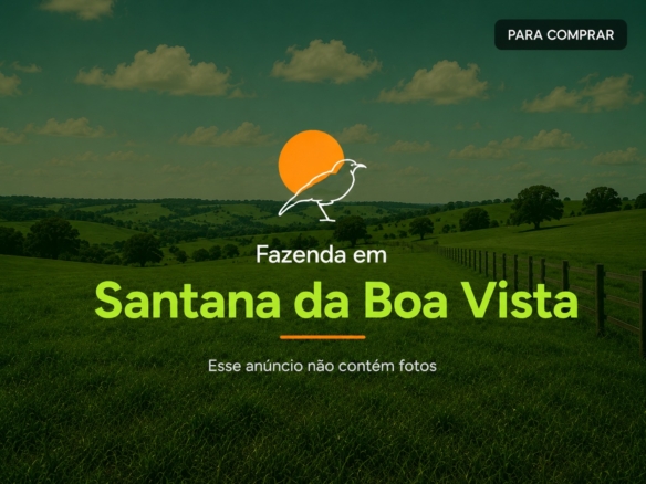 Fazenda à Venda em Santana da Boa Vista