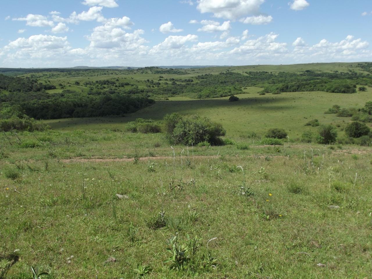 Fazenda em Lavras do Sul