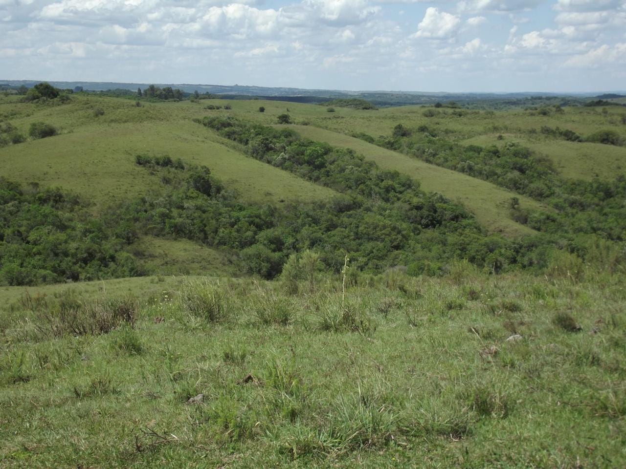 Fazenda em Lavras do Sul