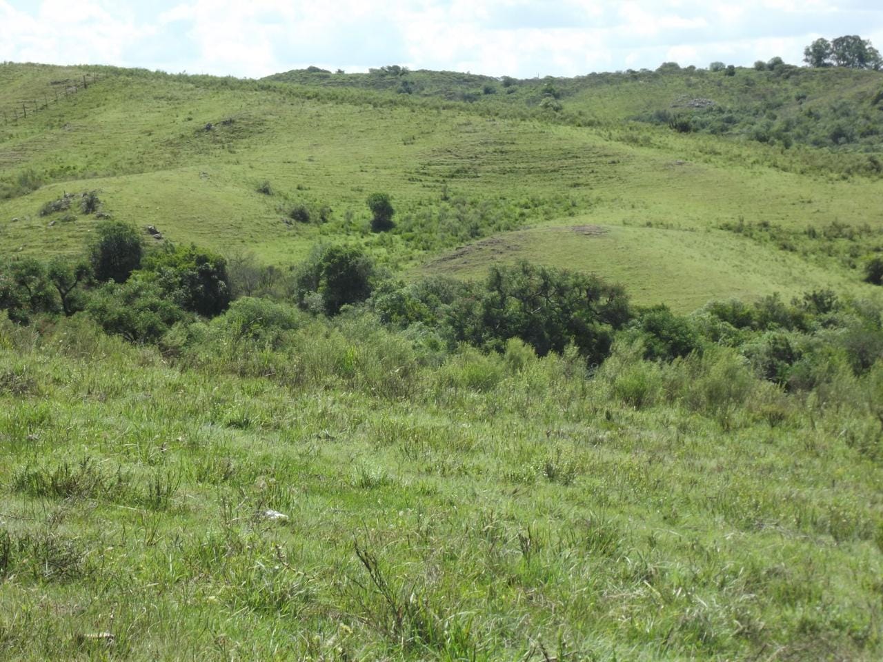 Fazenda em Lavras do Sul