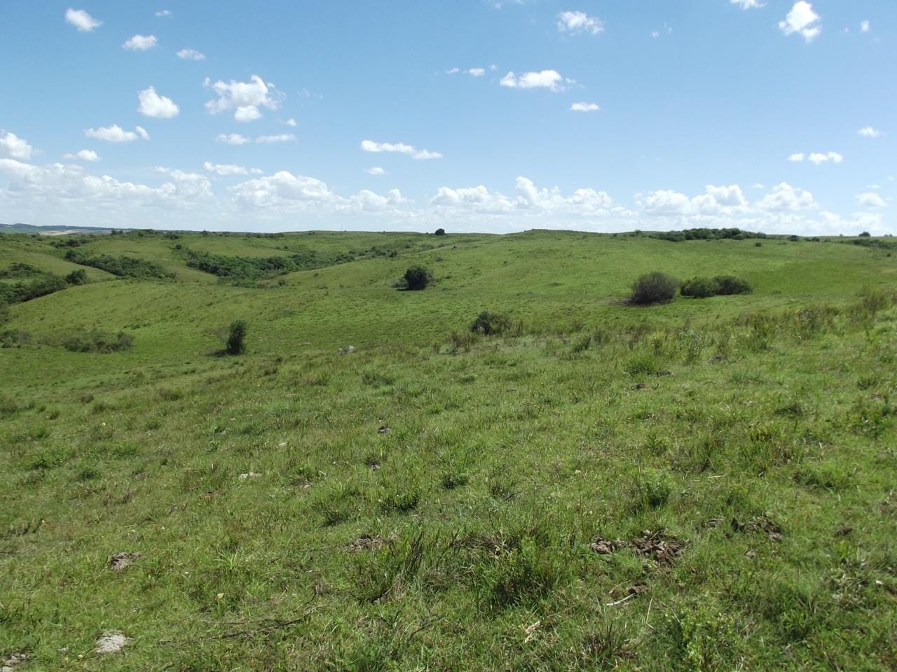 Fazenda em Lavras do Sul