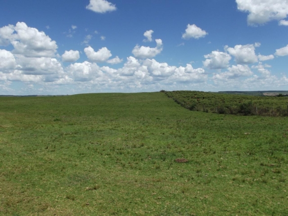 Fazenda em Lavras do Sul
