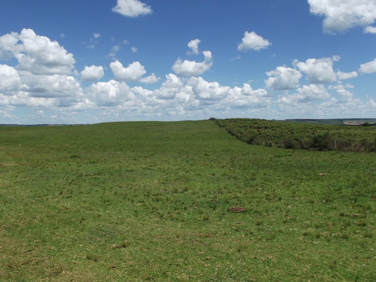 Fazenda em Lavras do Sul