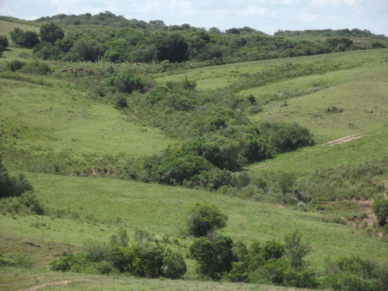 Fazenda em Lavras do Sul