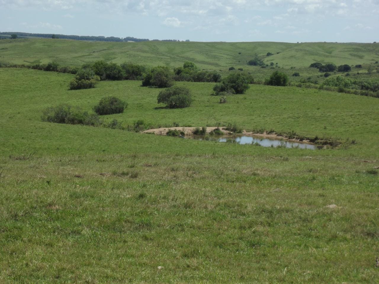Fazenda em Lavras do Sul