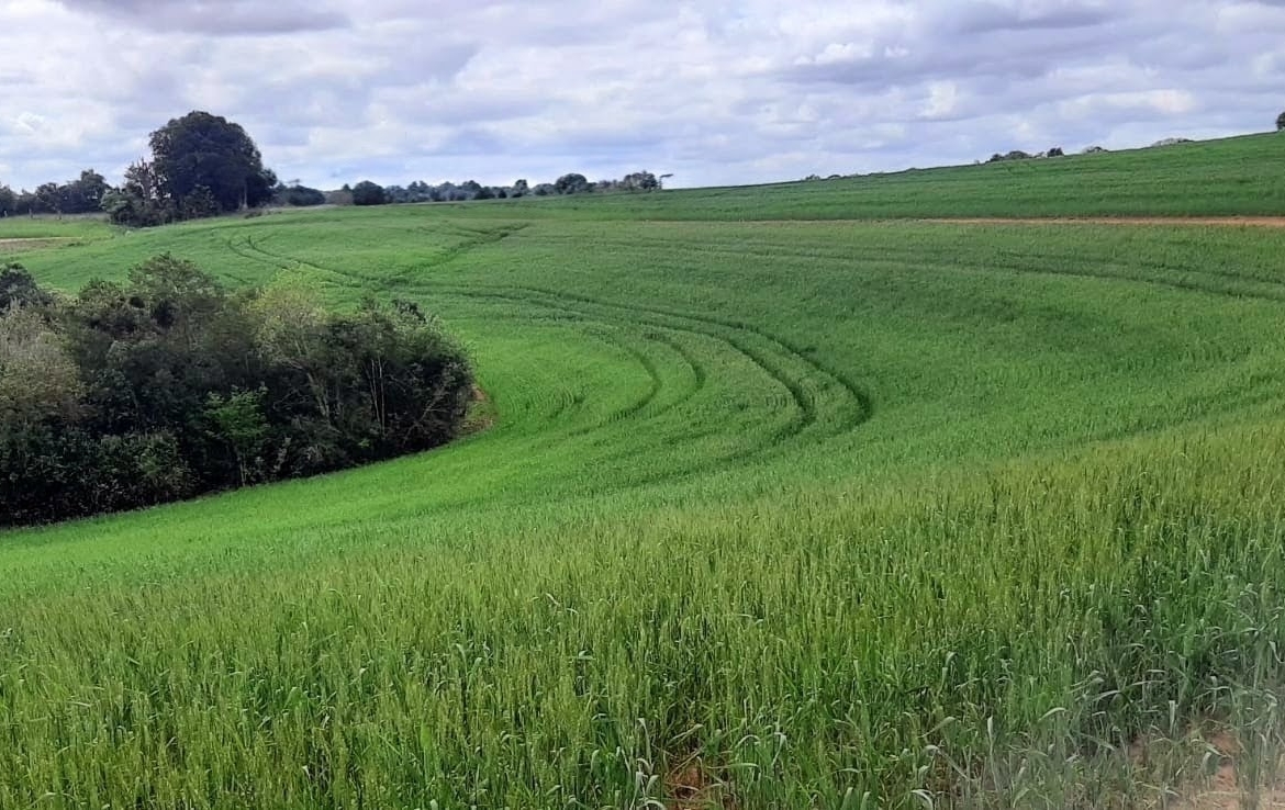 Fazenda em Rio Pardo