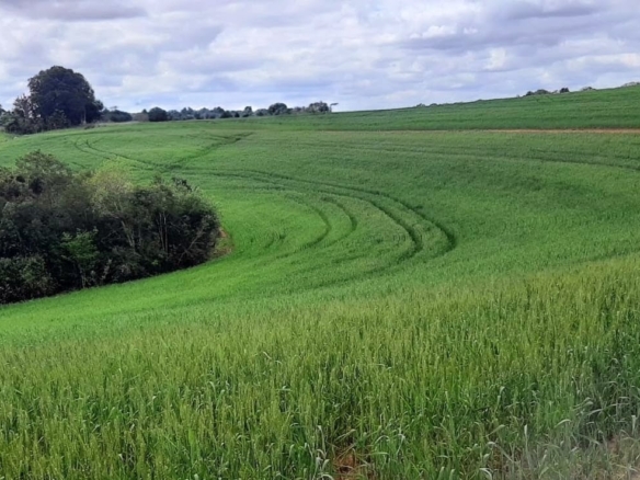 Fazenda em Rio Pardo