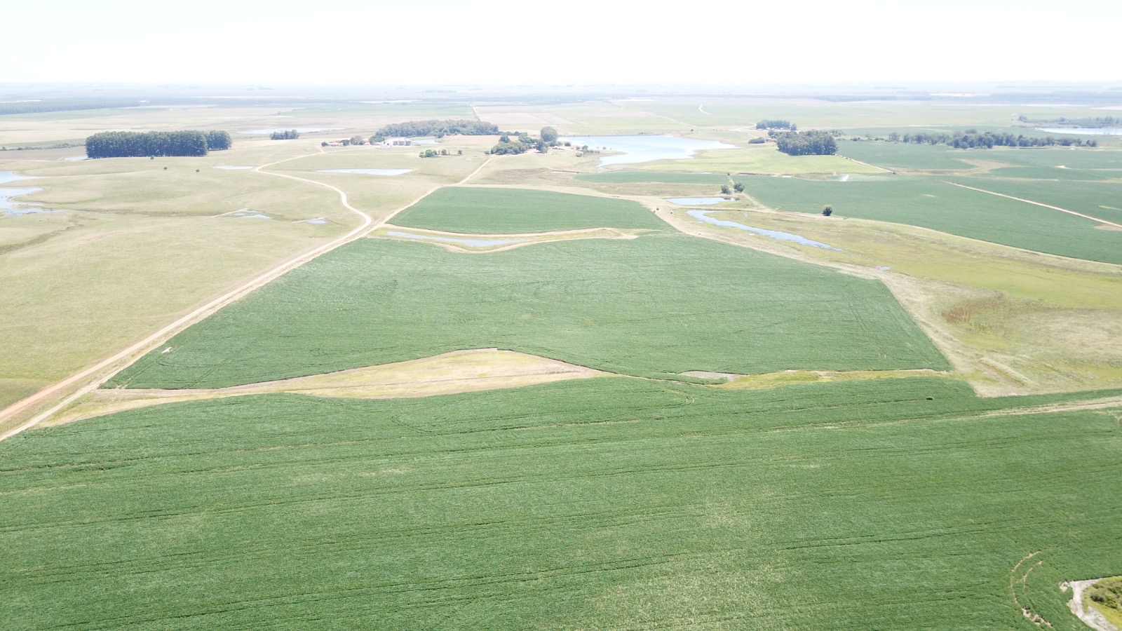 Fazenda em Cacequi