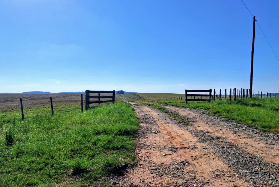 Fazenda em Cacequi