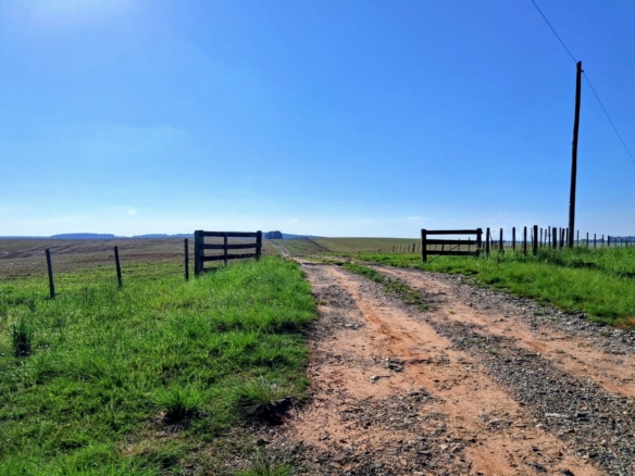 Fazenda em Cacequi