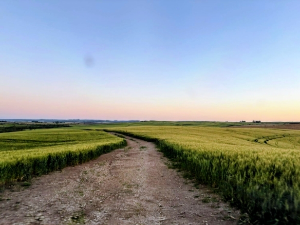 Fazenda em São Gabriel