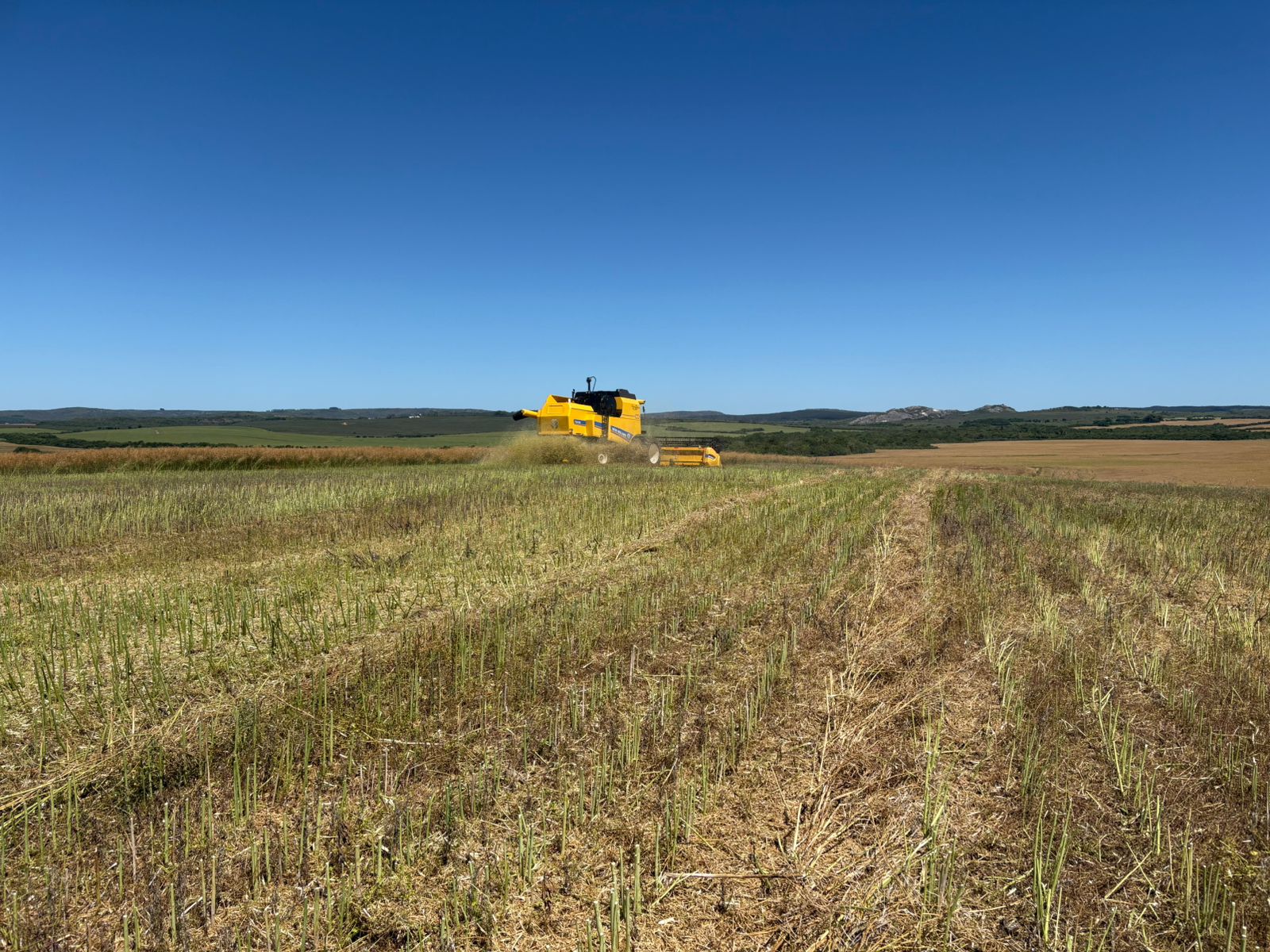 Fazenda em São Gabriel
