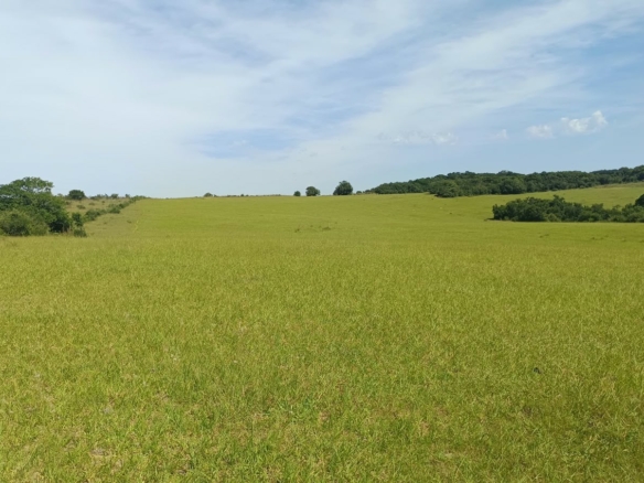 Fazenda em Viamão