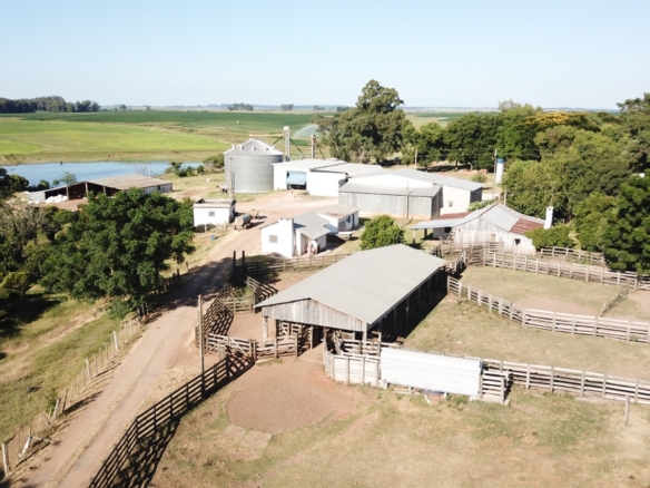 Fazenda em Cacequi