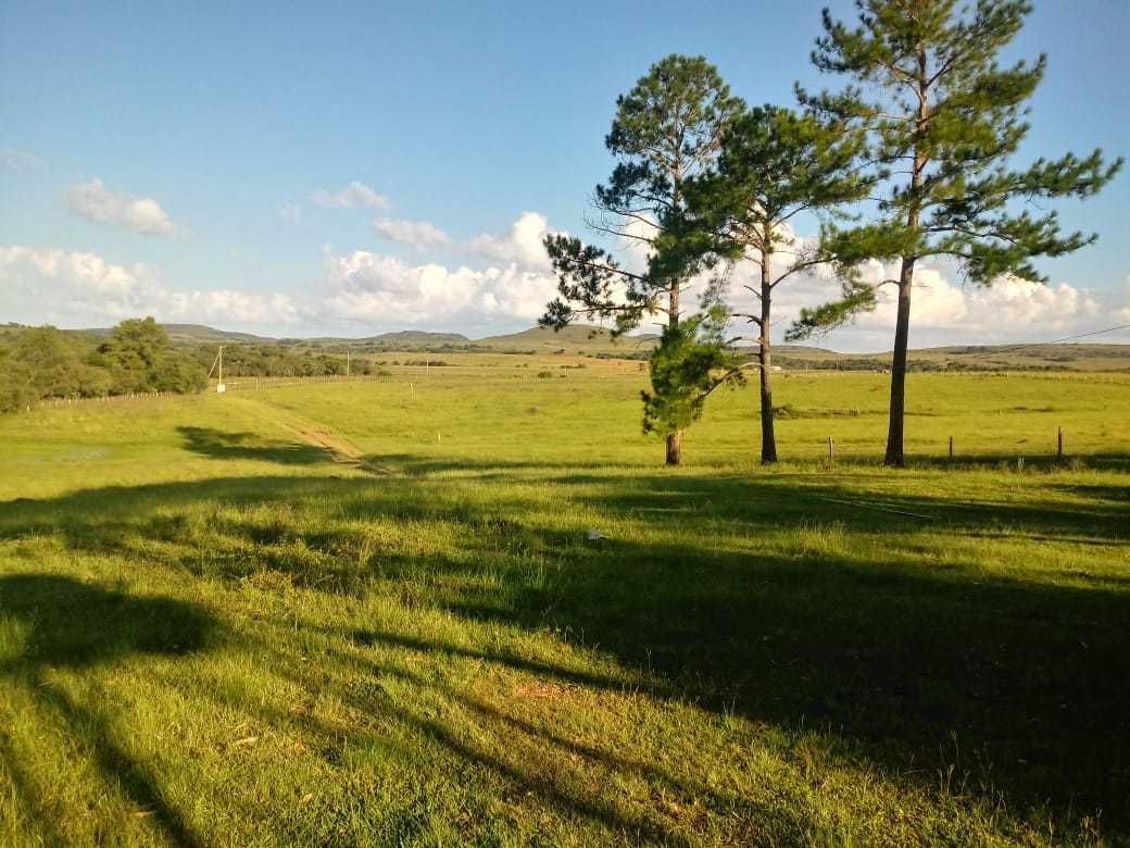 Fazenda em Santana do Livramento