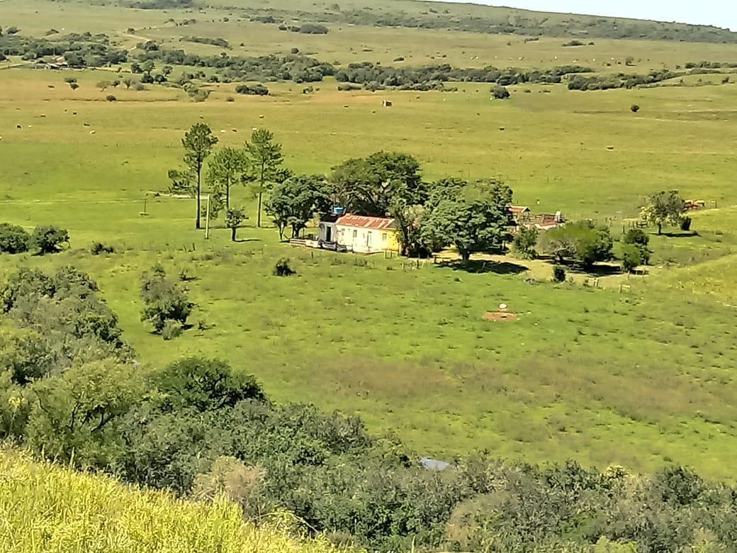 Fazenda em Santana do Livramento