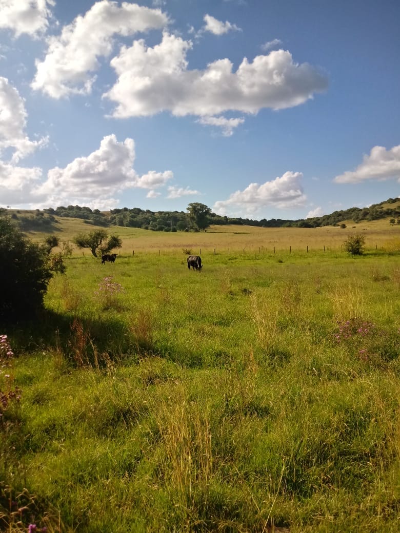 Fazenda em Santana do Livramento