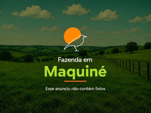 Área em Maquiné