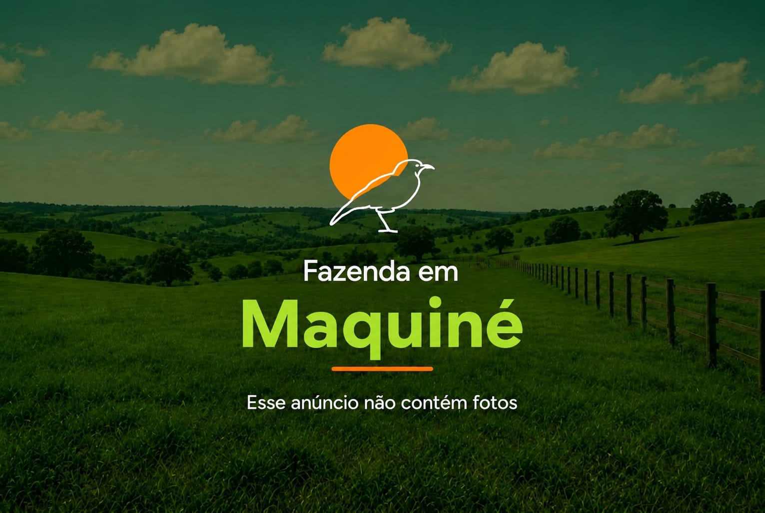 Área em Maquiné